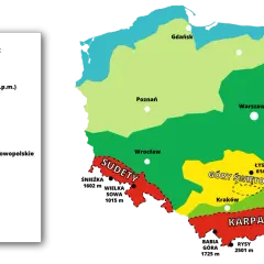 Mapa Polski z podziałem na regiony geograficzne: Sudety, Góry Świętokrzyskie, Karpaty. Widać też niziny i wyżyny. Poznaj polskie nazwy gór.