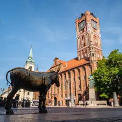 Pomnik osiołka na Rynku Staromiejskim, jedna z głównych toruńskich atrakcji, na tle Ratusza Staromiejskiego i kościoła św. Janów.