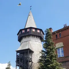 Wieża zamkowa w Prudniku, jedna z głównych atrakcji, z ptakiem w locie na tle błękitnego nieba.