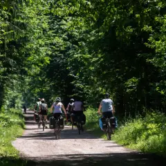 Grupa rowerzystów jedzie leśną ścieżką w słoneczny dzień.