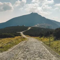 Kamienna karpacz trasa wije się ku górze, otoczona trawami i kosodrzewiną. W oddali majaczy szczyt z budynkami.