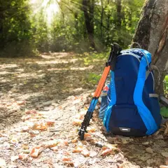 Plecak i kijki trekkingowe opierają się o drzewo w lesie. Dowiedz się, jak dobrać kijki trekkingowe do wzrostu, by wędrówka była komfortowa.