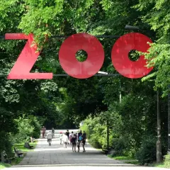 Wejście do największego zoo w Polsce. Ludzie spacerują alejką wśród zieleni.