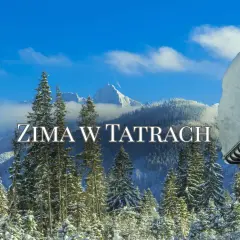 Zima w Tatrach w marcu. Śnieg pokrywa drzewa i góry, a niebo jest błękitne. Widok z zadaszenia chatki.