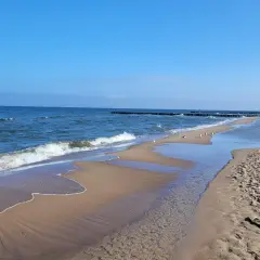 Spokojna plaża z falami, mewami i drewnianymi falochronami. Idealne miejsce na relaks i podziwianie nadmorskich atrakcji.