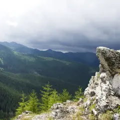 Widok na gęsty las i góry, idealne na szlaki w Zakopanem. Na pierwszym planie skaliste zbocze.