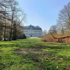 Pałac w Pszczynie, jedna z głównych atrakcji regionu, otoczony parkiem. Wiosna budzi zieleń, a powalone drzewo dodaje malowniczego charakteru.