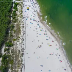Plaża z turystami i zielony las. Może tu jest gdzie najcieplejsza woda w Bałtyku?