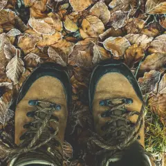 Brązowe buty trekkingowe na mroźnych liściach. Zastanawiasz się, czym impregnować buty, by chronić je przed wilgocią?