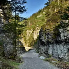 Kamienista ścieżka prowadzi przez wąwóz do drewnianego mostku. Idealne miejsce na spacer, czyli zakopane dla początkujących.