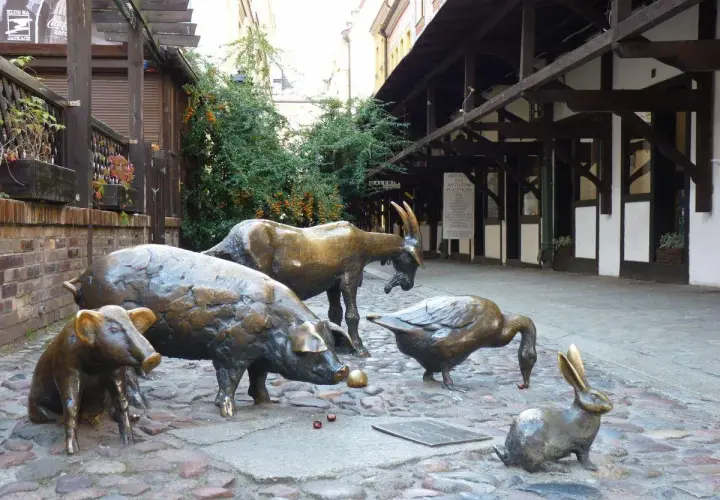 Wrocław co zobaczyć? Urocze rzeźby zwierząt na brukowanej uliczce. Świetne miejsce na spacer i pamiątkowe zdjęcie.