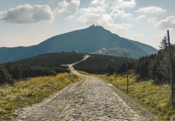 Kamienna karpacz trasa wije się ku górze, otoczona trawami i kosodrzewiną. W oddali majaczy szczyt z budynkami.