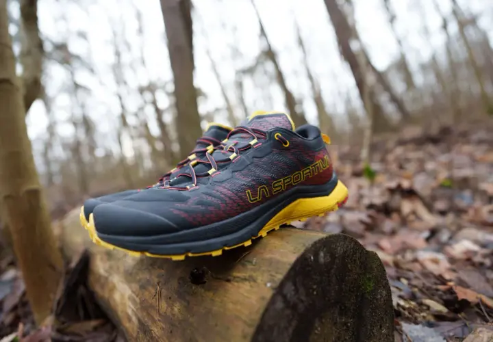 Buty trekkingowe La Sportiva na pniu w lesie. Sprawdź, czy la sportiva rozmiarówka pasuje do Twoich stóp.