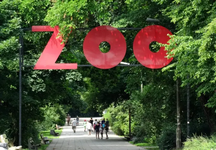 Wejście do największego zoo w Polsce. Ludzie spacerują alejką wśród zieleni.