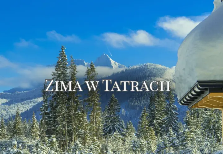 Zima w Tatrach w marcu. Śnieg pokrywa drzewa i góry, a niebo jest błękitne. Widok z zadaszenia chatki.