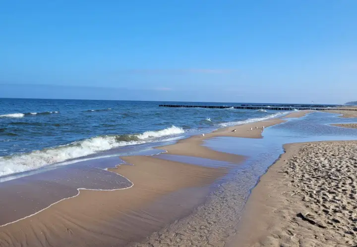 Spokojna plaża z falami, mewami i drewnianymi falochronami. Idealne miejsce na relaks i podziwianie nadmorskich atrakcji.
