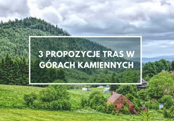 Widok na zalesiony zbocze góry Waligóra. W oddali widać pasmo górskie i kilka domów. Tekst: "3 propozycje tras w Górach Kamiennych".