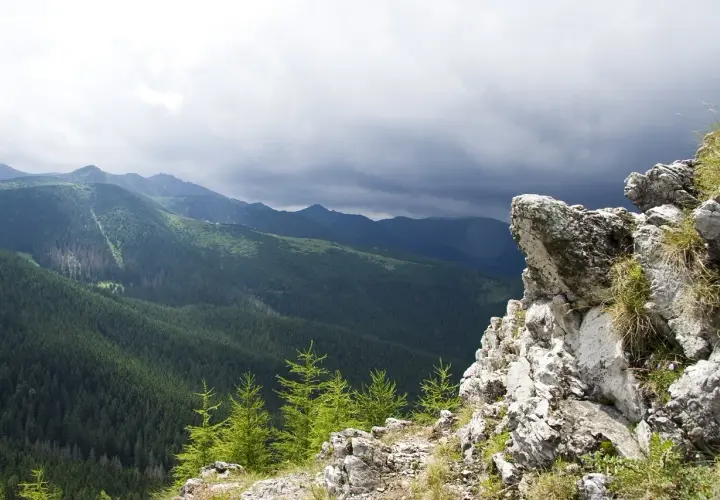 Widok na gęsty las i góry, idealne na szlaki w Zakopanem. Na pierwszym planie skaliste zbocze.