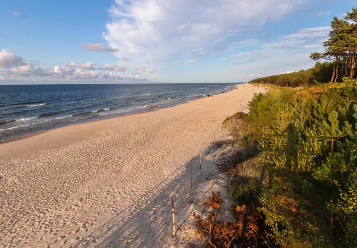 Piękna plaża w Mrzeżynie, idealne miejsce na relaks. W oddali widać ludzi spacerujących brzegiem morza, a na wydmach rosną sosny. To jedne z wielu mrzeżyno atrakcji.