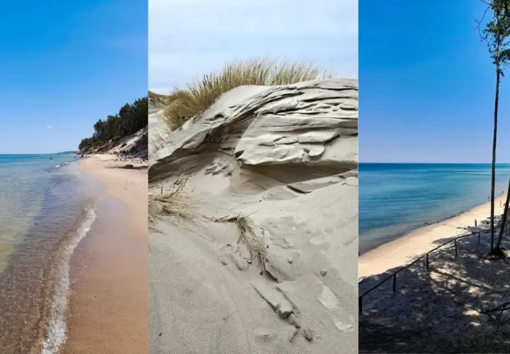 Trzy ujęcia dzikiej plaży: spokojne morze, piaszczyste wydmy z trawami i las sosnowy nad brzegiem.