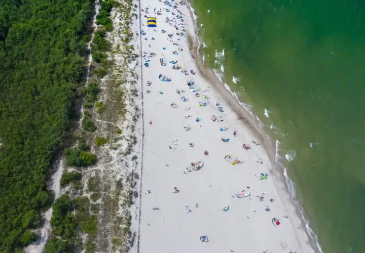 Plaża z turystami i zielony las. Może tu jest gdzie najcieplejsza woda w Bałtyku?