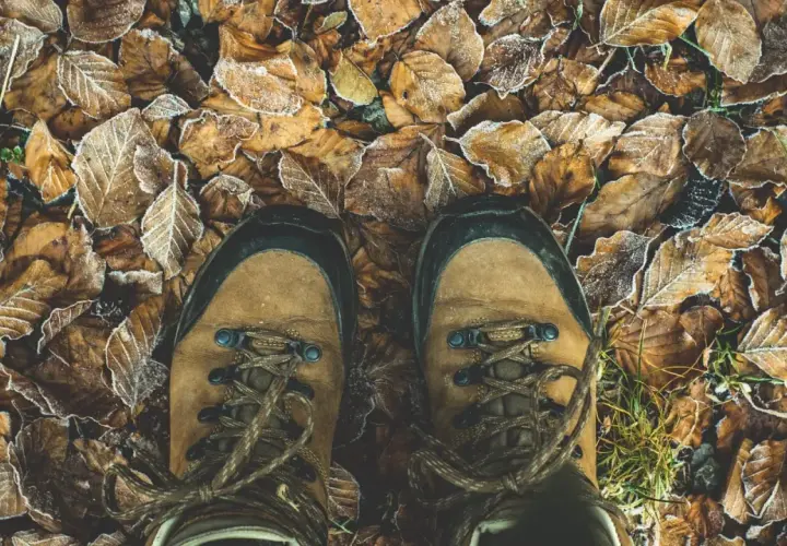 Brązowe buty trekkingowe na mroźnych liściach. Zastanawiasz się, czym impregnować buty, by chronić je przed wilgocią?