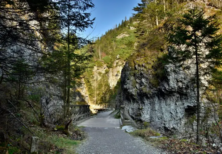 Kamienista ścieżka prowadzi przez wąwóz do drewnianego mostku. Idealne miejsce na spacer, czyli zakopane dla początkujących.