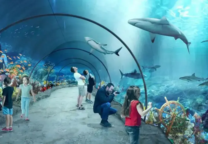 W oceanarium Niechorze podziwiaj rekiny i kolorowe ryby w tunelu podwodnym. Rodziny z dziećmi zachwycone.