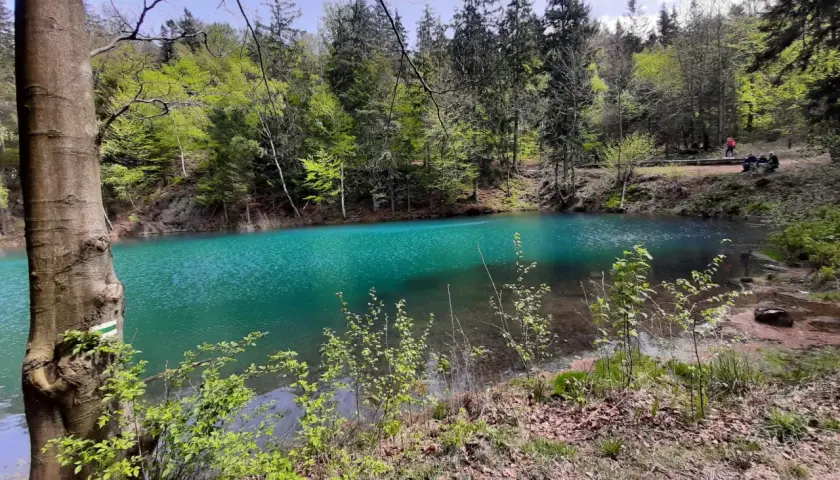 Turkusowe jezioro w lesie, urokliwe miejsce w okolicach miejscowości koło Wrocławia.