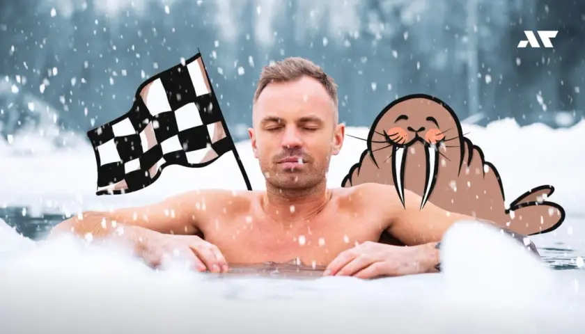 Mężczyzna z zamkniętymi oczami w lodowatej wodzie, obok szachownica i uśmiechnięta foka. To jego pierwsze morsowanie!