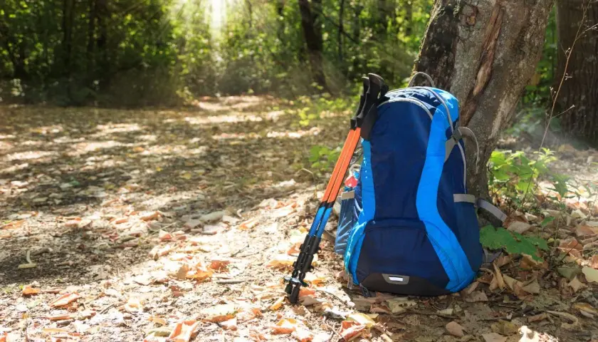 Plecak i kijki trekkingowe opierają się o drzewo w lesie. Dowiedz się, jak dobrać kijki trekkingowe do wzrostu, by wędrówka była komfortowa.