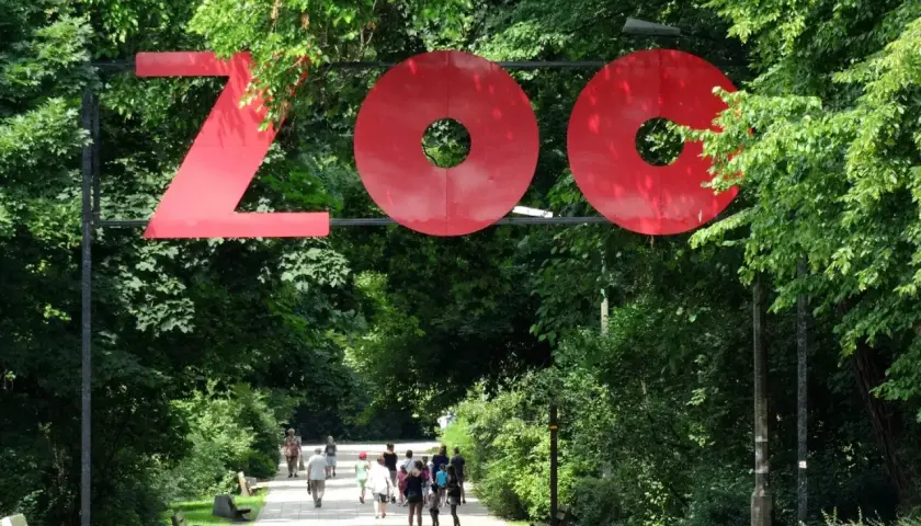 Wejście do największego zoo w Polsce. Ludzie spacerują alejką wśród zieleni.