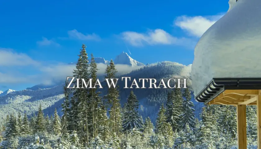 Zima w Tatrach w marcu. Śnieg pokrywa drzewa i góry, a niebo jest błękitne. Widok z zadaszenia chatki.