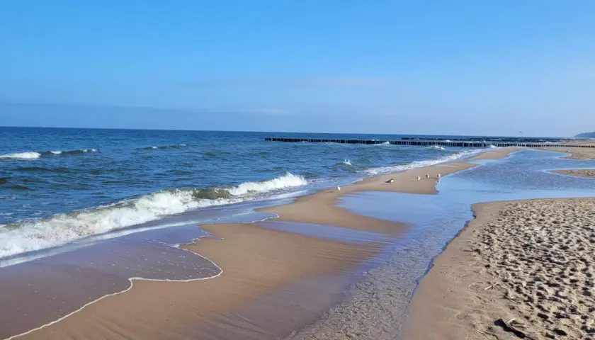 Spokojna plaża z falami, mewami i drewnianymi falochronami. Idealne miejsce na relaks i podziwianie nadmorskich atrakcji.