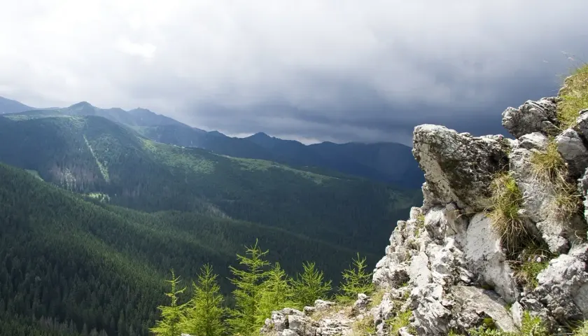 Widok na gęsty las i góry, idealne na szlaki w Zakopanem. Na pierwszym planie skaliste zbocze.