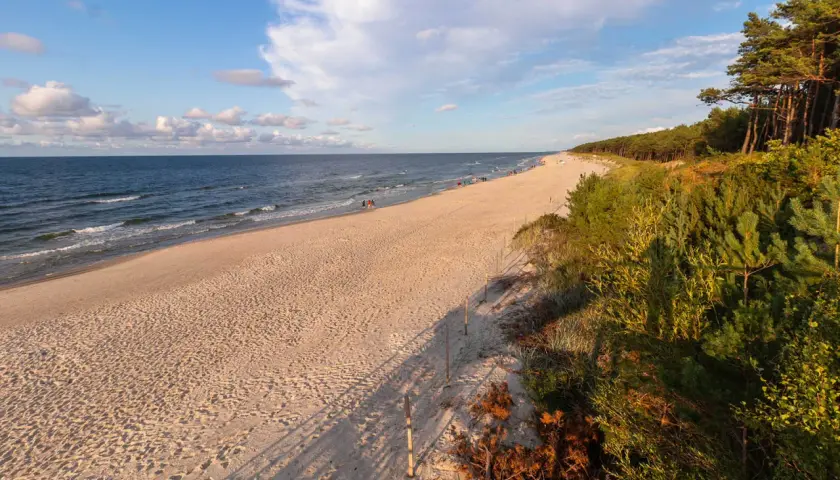 Piękna plaża w Mrzeżynie, idealne miejsce na relaks. W oddali widać ludzi spacerujących brzegiem morza, a na wydmach rosną sosny. To jedne z wielu mrzeżyno atrakcji.