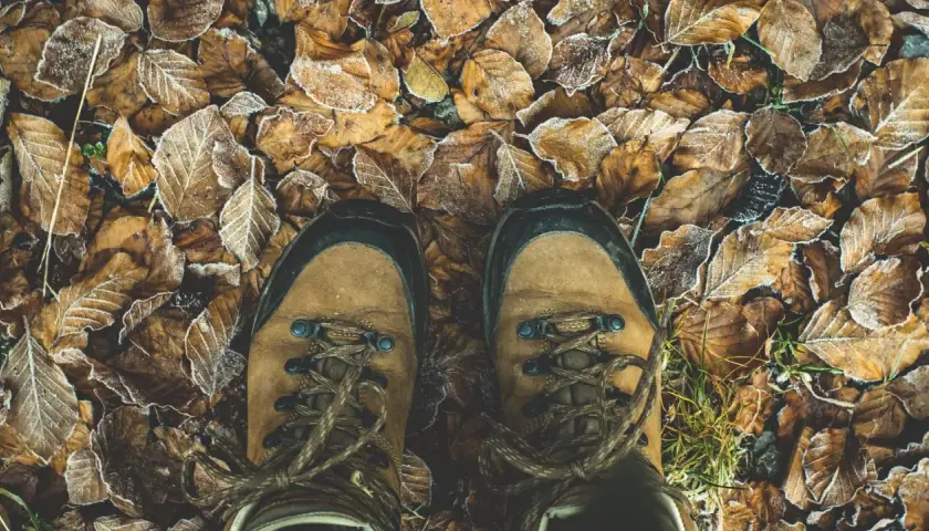 Brązowe buty trekkingowe na mroźnych liściach. Zastanawiasz się, czym impregnować buty, by chronić je przed wilgocią?