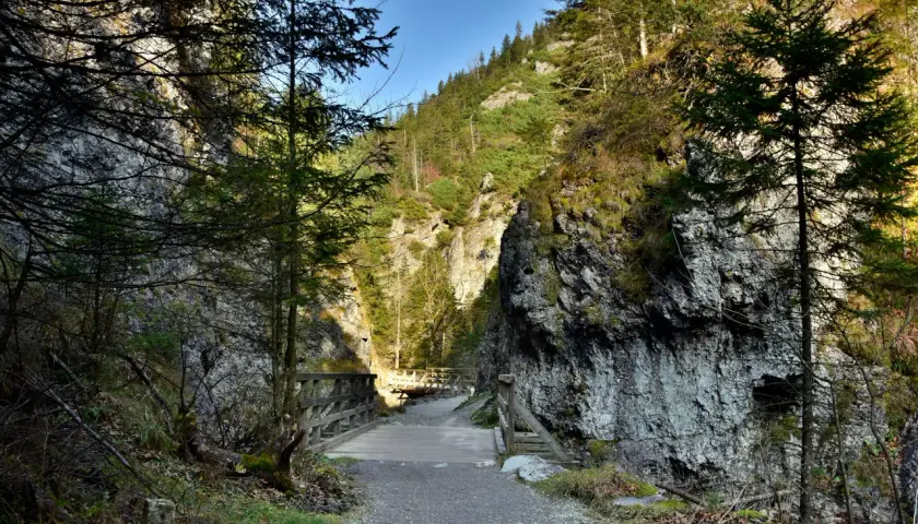 Kamienista ścieżka prowadzi przez wąwóz do drewnianego mostku. Idealne miejsce na spacer, czyli zakopane dla początkujących.