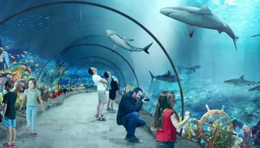 W oceanarium Niechorze podziwiaj rekiny i kolorowe ryby w tunelu podwodnym. Rodziny z dziećmi zachwycone.
