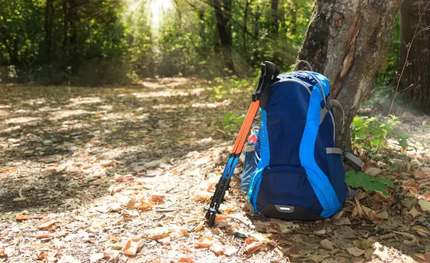 Jak dobrać kijki trekkingowe do wzrostu? Praktyczny poradnik