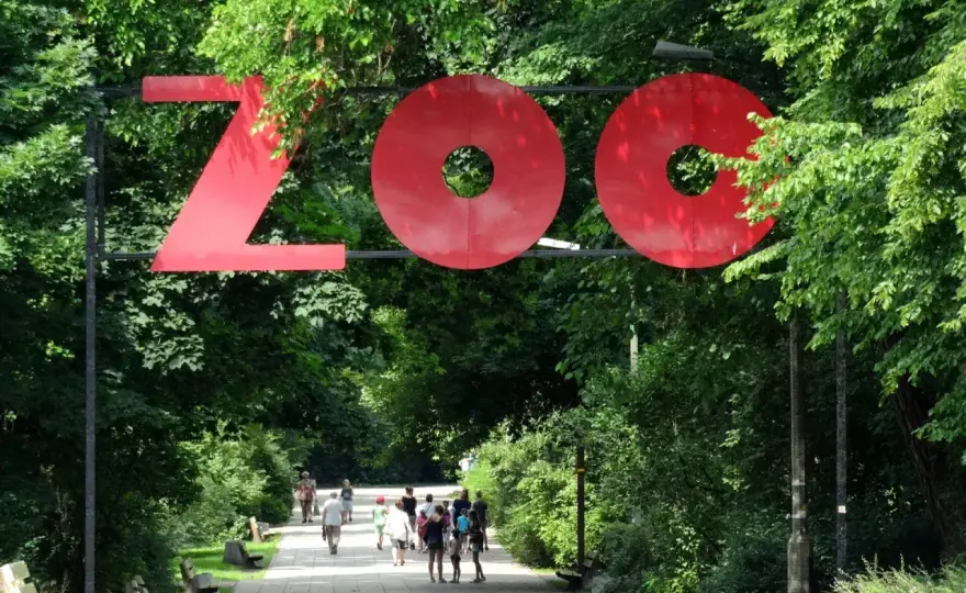 Największe zoo w Polsce - Gdańsk czy Wrocław? Porównanie