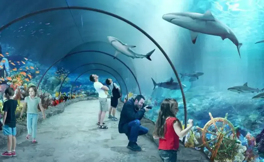Oceanarium w Niechorzu - czy warto? Ceny, godziny i zwiedzanie