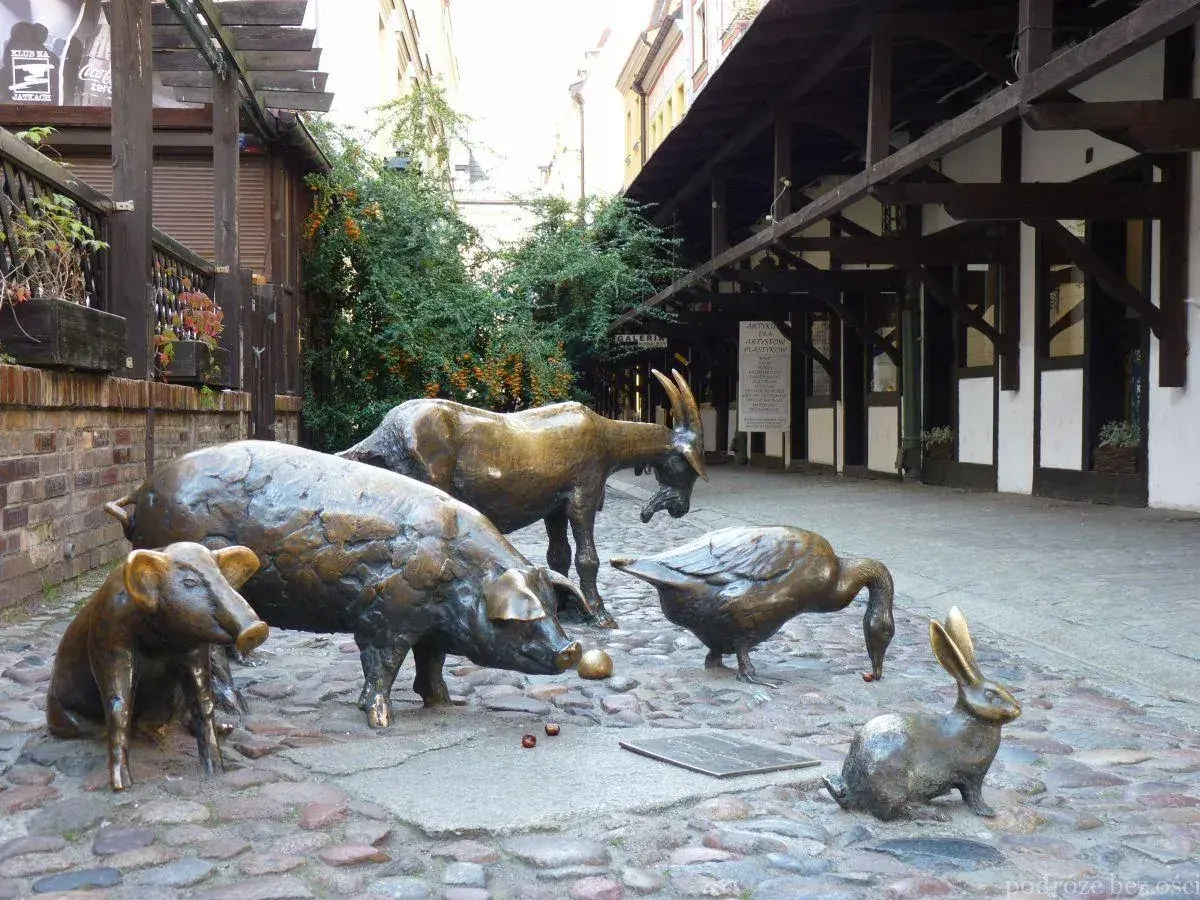 Wrocław co zobaczyć? Urocze rzeźby zwierząt na brukowanej uliczce. Świetne miejsce na spacer i pamiątkowe zdjęcie.
