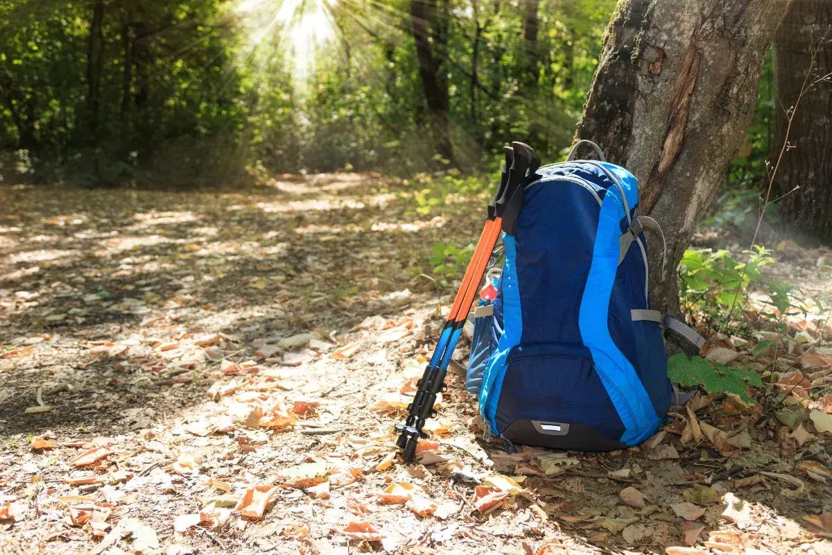 Plecak i kijki trekkingowe opierają się o drzewo w lesie. Dowiedz się, jak dobrać kijki trekkingowe do wzrostu, by wędrówka była komfortowa.