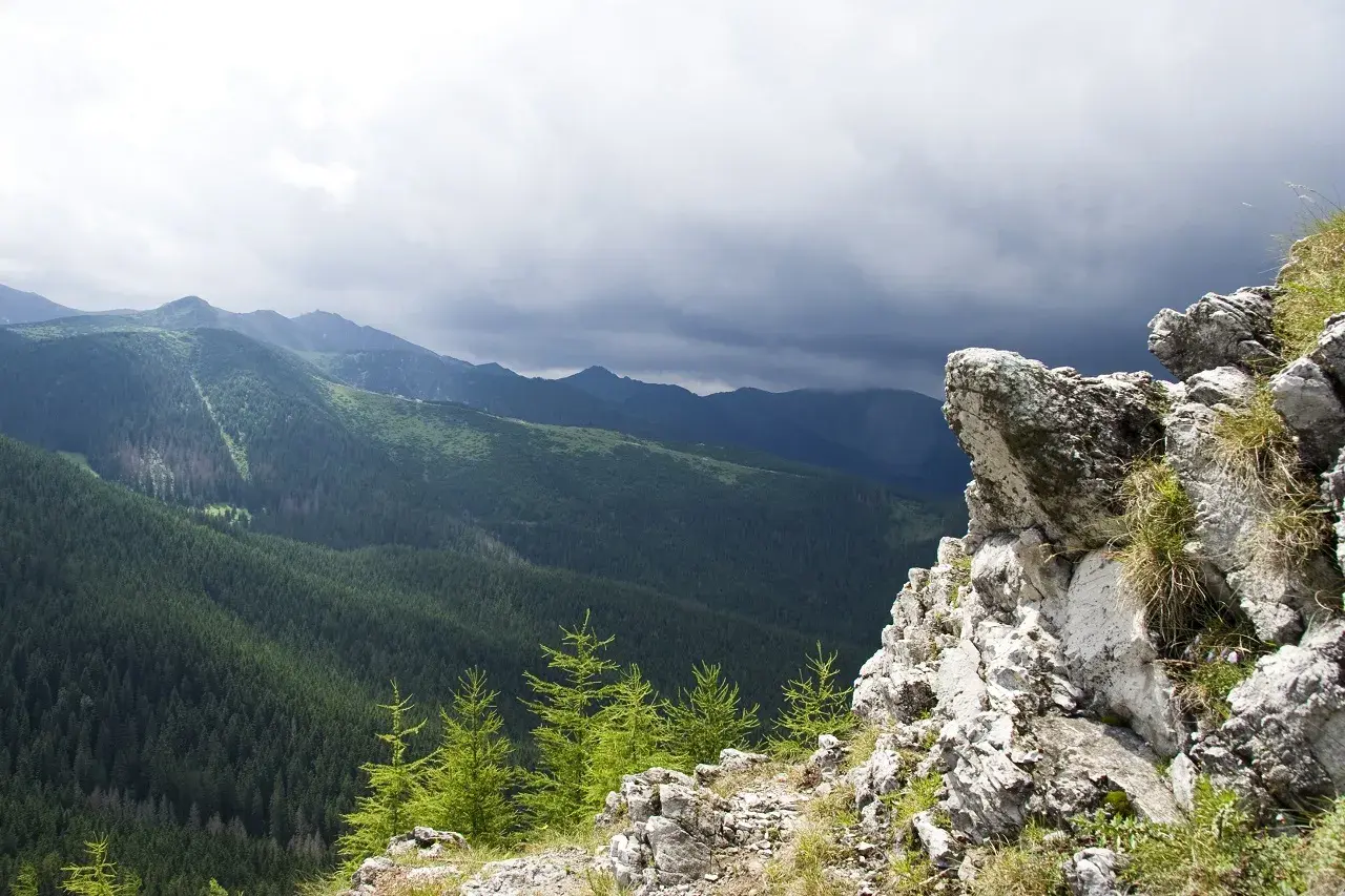 Widok na gęsty las i góry, idealne na szlaki w Zakopanem. Na pierwszym planie skaliste zbocze.