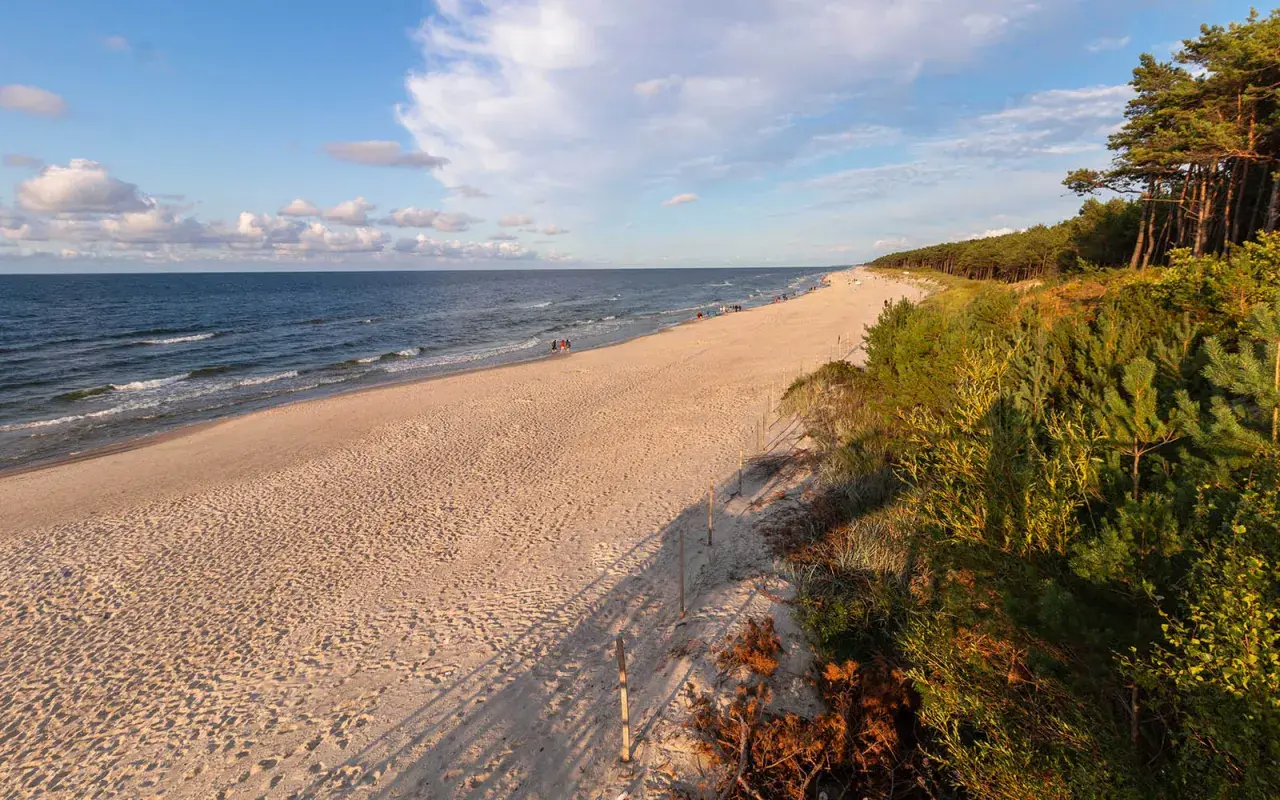 Piękna plaża w Mrzeżynie, idealne miejsce na relaks. W oddali widać ludzi spacerujących brzegiem morza, a na wydmach rosną sosny. To jedne z wielu mrzeżyno atrakcji.