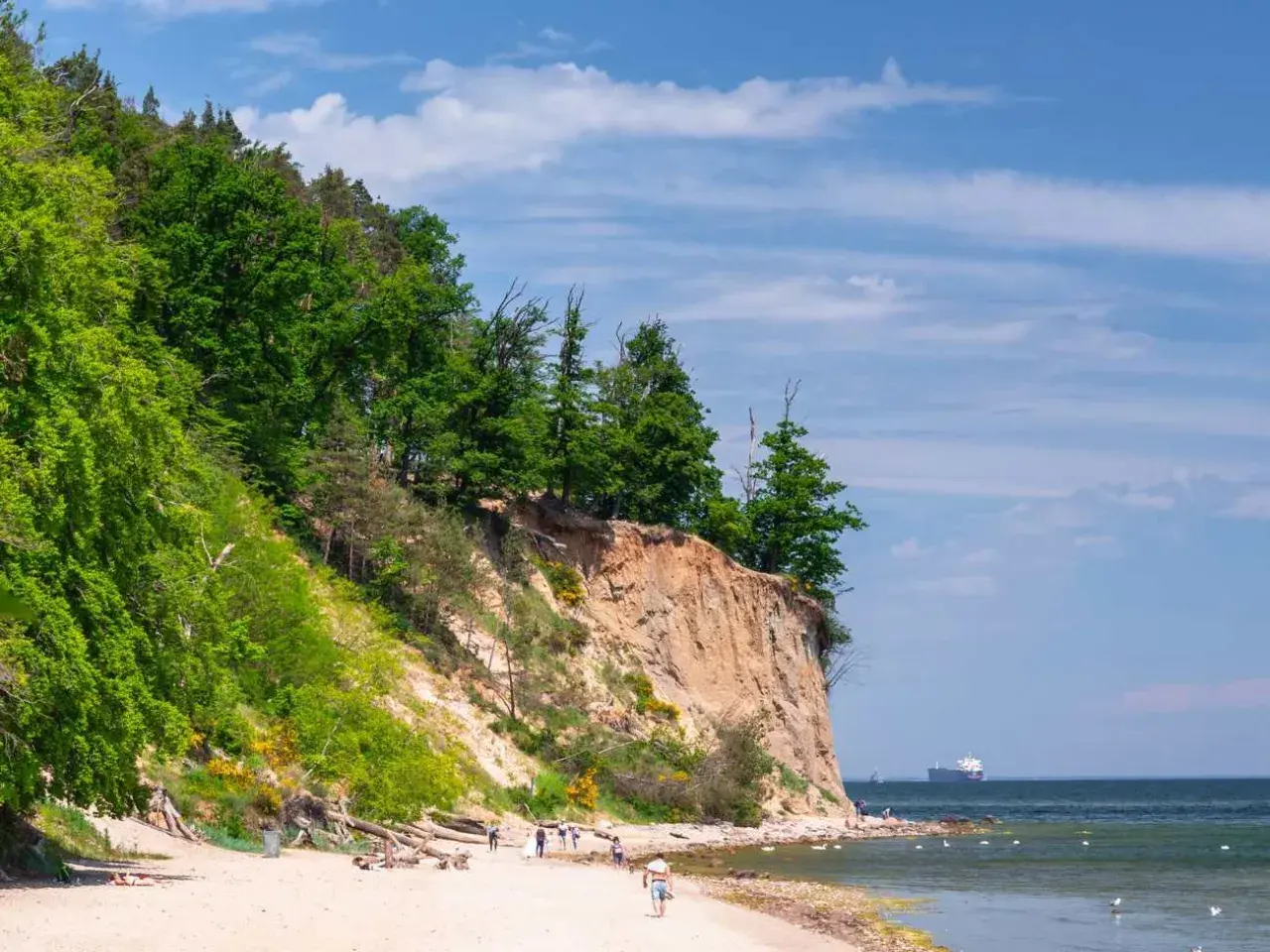 Piękny klif i plaża, idealne atrakcje nad morzem. Ludzie spacerują, odpoczywają, a na horyzoncie widać statek.