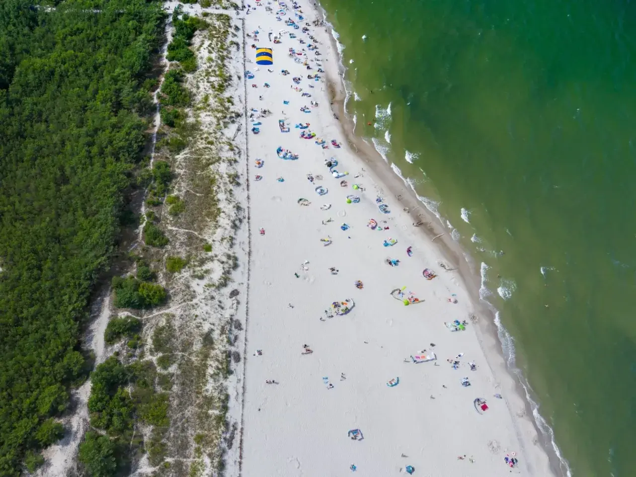 Plaża z turystami i zielony las. Może tu jest gdzie najcieplejsza woda w Bałtyku?