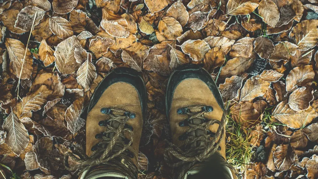 Brązowe buty trekkingowe na mroźnych liściach. Zastanawiasz się, czym impregnować buty, by chronić je przed wilgocią?