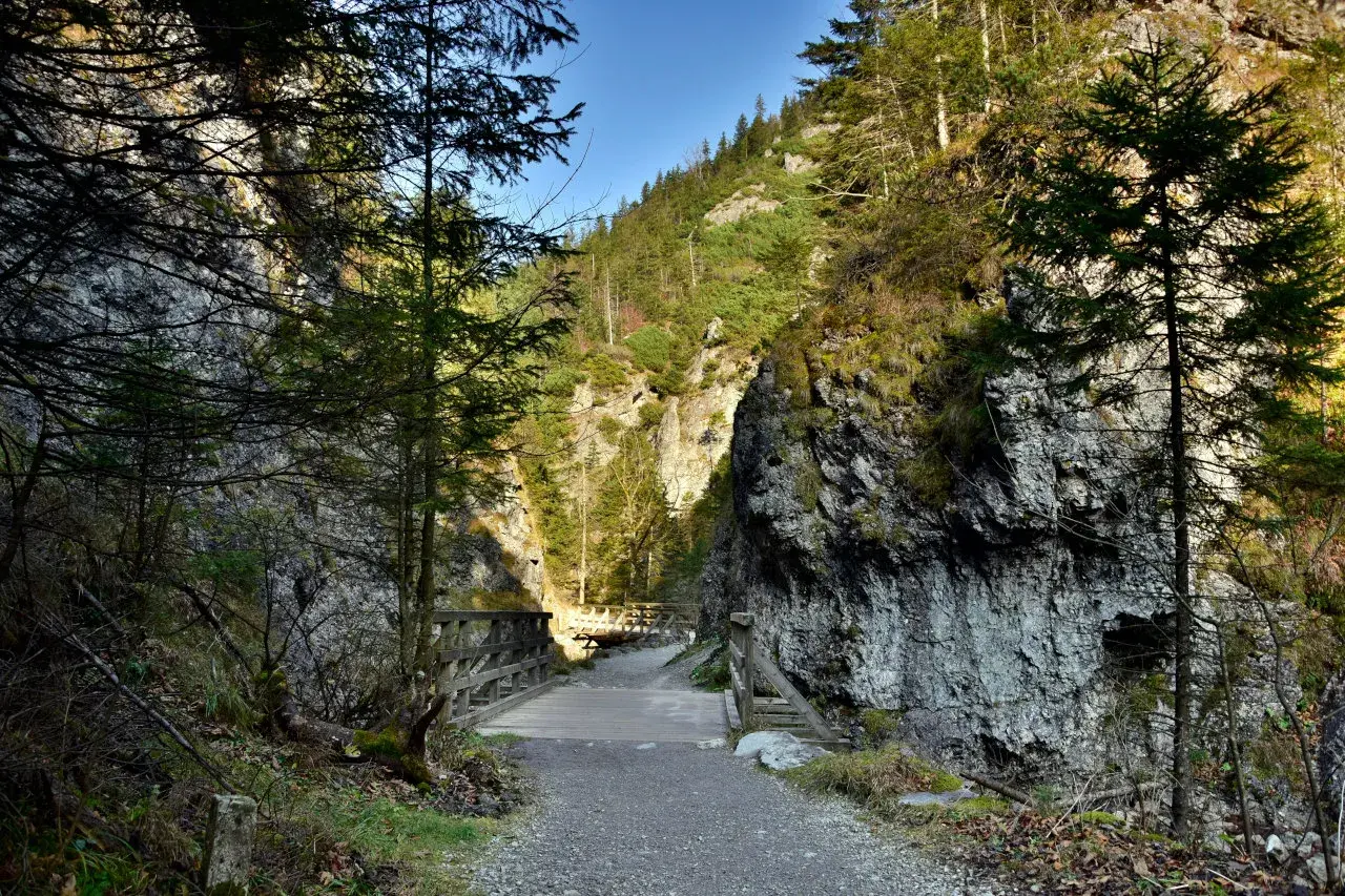 Kamienista ścieżka prowadzi przez wąwóz do drewnianego mostku. Idealne miejsce na spacer, czyli zakopane dla początkujących.